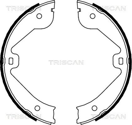 Triscan 8100 10022 - Комплект тормозных колодок, барабанные autodif.ru