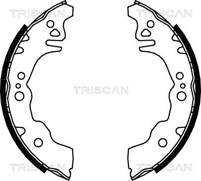 Triscan 8100 10027 - Комплект тормозных колодок, барабанные autodif.ru