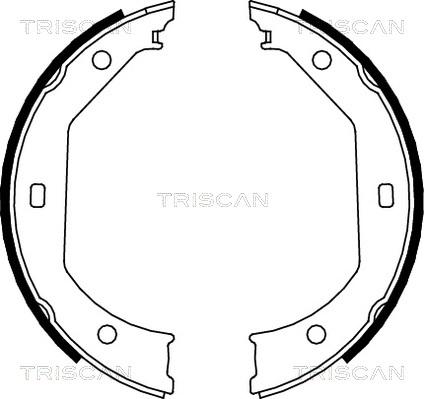 Triscan 8100 11638 - Комплект тормозных колодок, барабанные autodif.ru