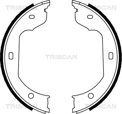 Triscan 8100 11012 - Комплект тормозных колодок, барабанные autodif.ru