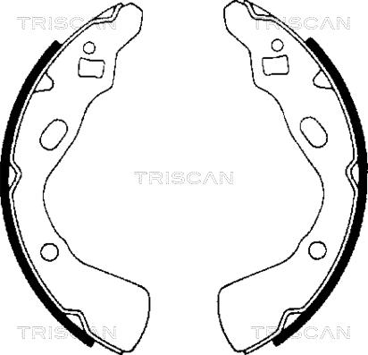 Triscan 8100 18507 - Комплект тормозных колодок, барабанные autodif.ru