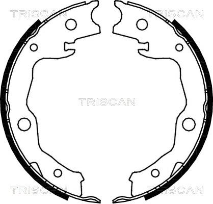 Triscan 8100 13042 - Комплект тормозных колодок, барабанные autodif.ru