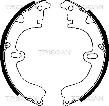 Triscan 8100 13392 - Комплект тормозных колодок, барабанные autodif.ru