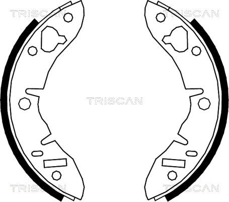 Triscan 8100 17003 - Комплект тормозных колодок, барабанные autodif.ru