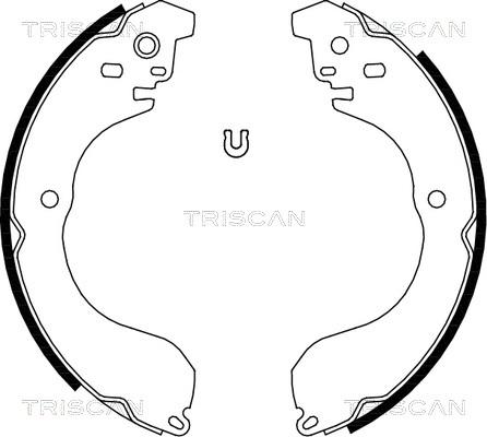 Triscan 8100 80017 - Комплект тормозных колодок, барабанные autodif.ru