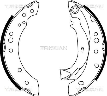 Triscan 8100 38001 - Комплект тормозных колодок, барабанные autodif.ru