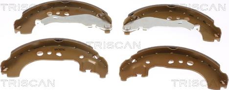 Triscan 8100 29531 - Комплект тормозных колодок, барабанные autodif.ru