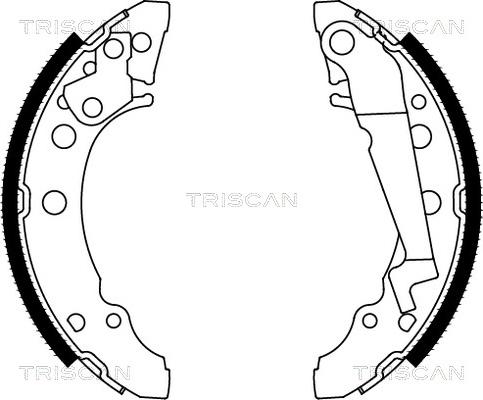 Triscan 8100 29001 - Комплект тормозных колодок, барабанные autodif.ru