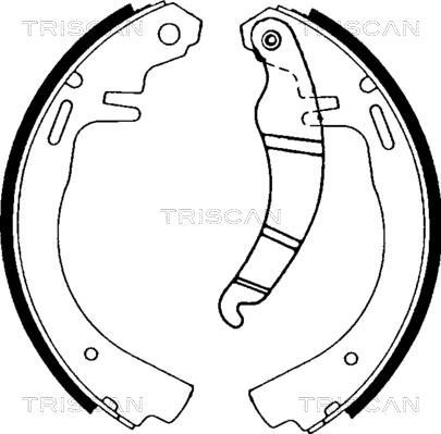 Triscan 8100 24223 - Комплект тормозных колодок, барабанные autodif.ru