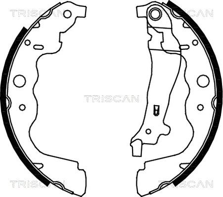 Triscan 8100 25004 - Комплект тормозных колодок, барабанные autodif.ru