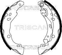 Triscan 8100 25001 - Комплект тормозных колодок, барабанные autodif.ru