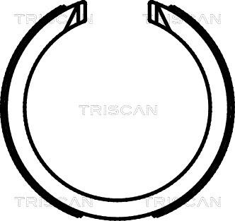 Triscan 8100 21003 - Комплект тормозов, ручник, парковка autodif.ru