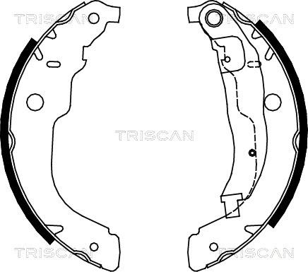 Triscan 8100 28053 - Комплект тормозных колодок, барабанные autodif.ru