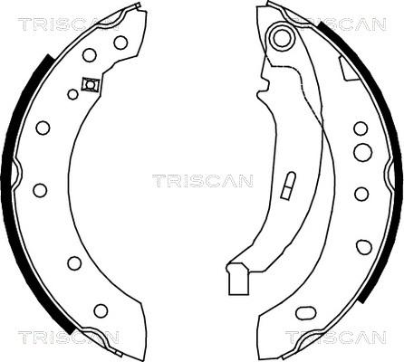 Triscan 8100 28052 - Комплект тормозных колодок, барабанные autodif.ru
