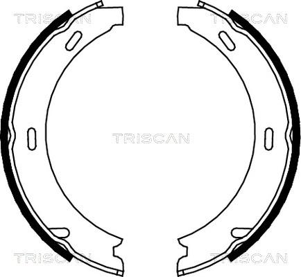 Triscan 8100 23412 - Комплект тормозных колодок, барабанные autodif.ru