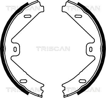 Triscan 8100 23033 - Комплект тормозных колодок, барабанные autodif.ru