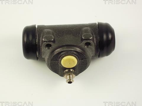 Triscan 8130 25022 - Колесный тормозной цилиндр autodif.ru