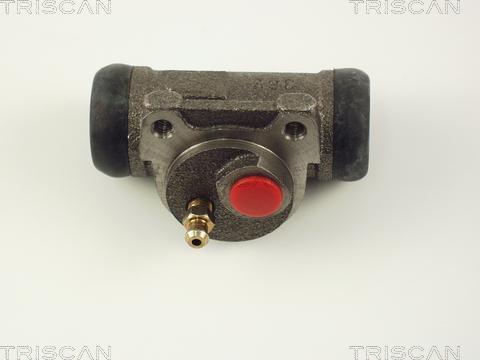 Triscan 8130 28021 - Колесный тормозной цилиндр autodif.ru