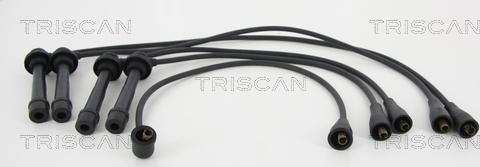 Triscan 8860 69009 - Комплект проводов зажигания autodif.ru