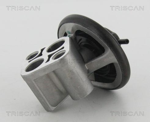 Triscan 8813 43007 - Клапан возврата ОГ autodif.ru