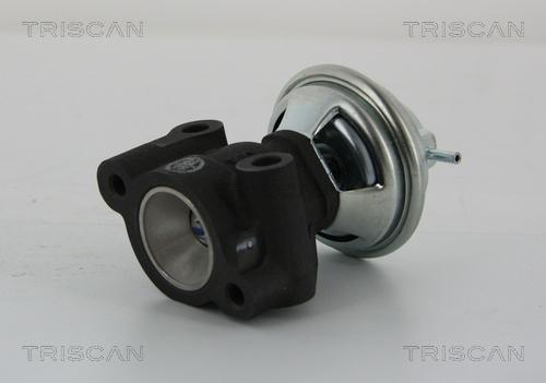 Triscan 8813 43014 - Клапан возврата ОГ autodif.ru