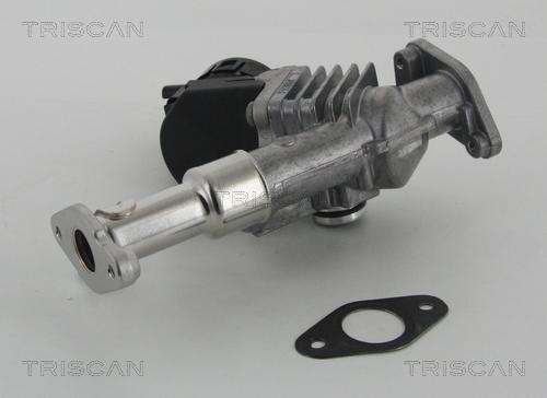 Triscan 8813 11006 - Клапан возврата ОГ autodif.ru