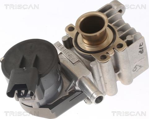 Triscan 8813 11011 - Клапан возврата ОГ autodif.ru