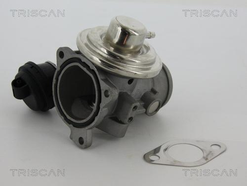 Triscan 8813 29057 - Клапан возврата ОГ autodif.ru