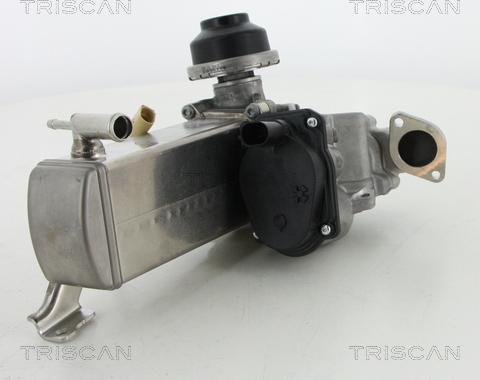 Triscan 8813 29071 - Клапан возврата ОГ autodif.ru