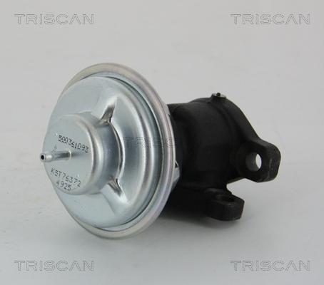 Triscan 8813 28011 - Клапан возврата ОГ autodif.ru