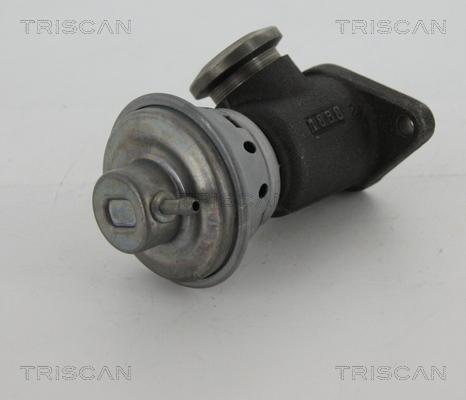 Triscan 8813 28022 - Клапан возврата ОГ autodif.ru