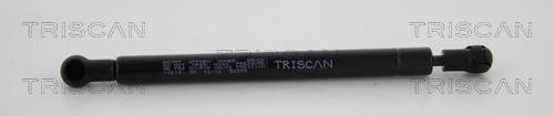 Triscan 8710 10215 - Газовая пружина, упор autodif.ru