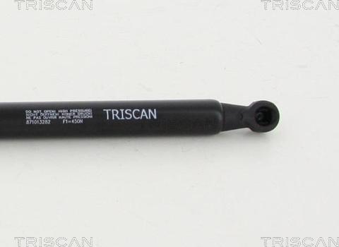 Triscan 8710 13282 - Газовая пружина, упор autodif.ru