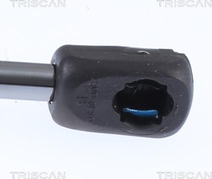 Triscan 8710 23297 - Газовая пружина, упор autodif.ru