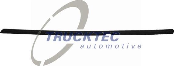 Trucktec Automotive 02.54.019 - Облицовка / защитная накладка, стекло двери autodif.ru