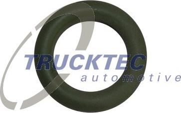 Trucktec Automotive 02.10.006 - Прокладка, указатель уровня масла autodif.ru