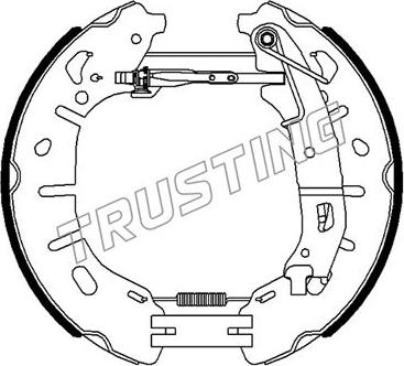 Trusting 6482 - Комплект тормозных колодок, барабанные autodif.ru