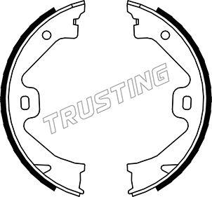 Trusting 092.307 - Комплект тормозов, ручник, парковка autodif.ru