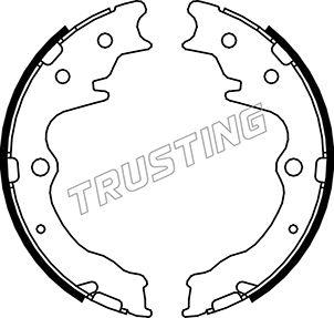Trusting 049.163 - Комплект тормозов, ручник, парковка autodif.ru