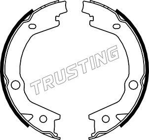 Trusting 046.220 - Комплект тормозов, ручник, парковка autodif.ru