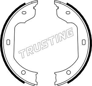 Trusting 019.029 - Комплект тормозов, ручник, парковка autodif.ru