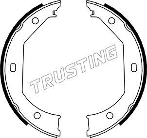 Trusting 019.027 - Комплект тормозов, ручник, парковка autodif.ru