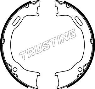 Trusting 088.239 - Комплект тормозов, ручник, парковка autodif.ru