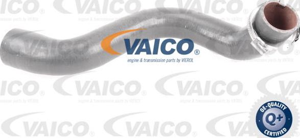 VAICO V46-0823 - Трубка, нагнетание воздуха autodif.ru