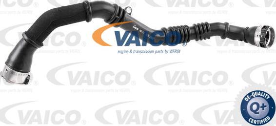 VAICO V46-1177 - Трубка, нагнетание воздуха autodif.ru