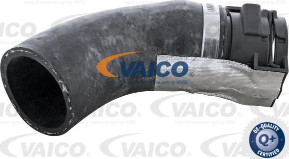 VAICO V46-1724 - Трубка, нагнетание воздуха autodif.ru