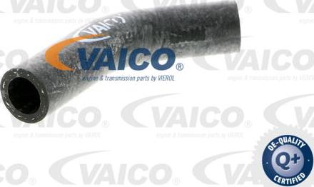 VAICO V40-0367 - Шланг радиатора autodif.ru