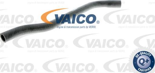 VAICO V40-1354 - Шланг радиатора autodif.ru