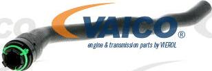 VAICO V40-1352 - Шланг радиатора autodif.ru