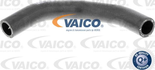 VAICO V40-2001 - Шланг радиатора autodif.ru